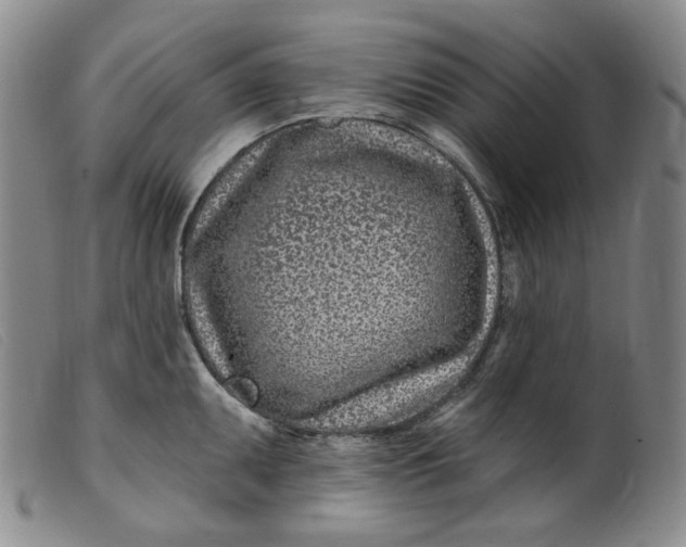 X0000099441095200805231711