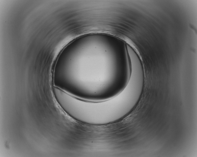 X0000099441096200805231711
