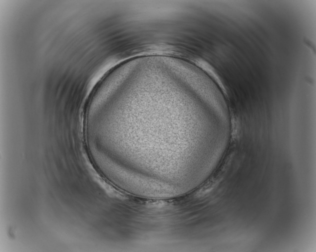 X0000099441099200805231711