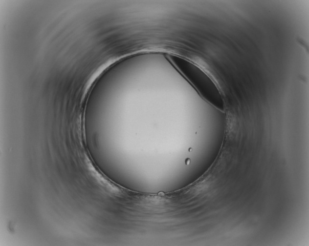 X0000099441100200805231711