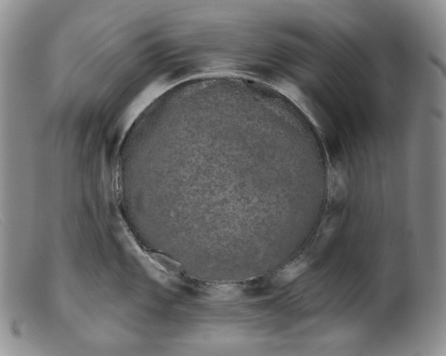 X0000099441101200805231711