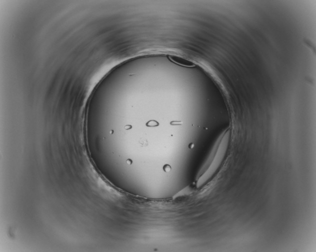 X0000099441102200805231711