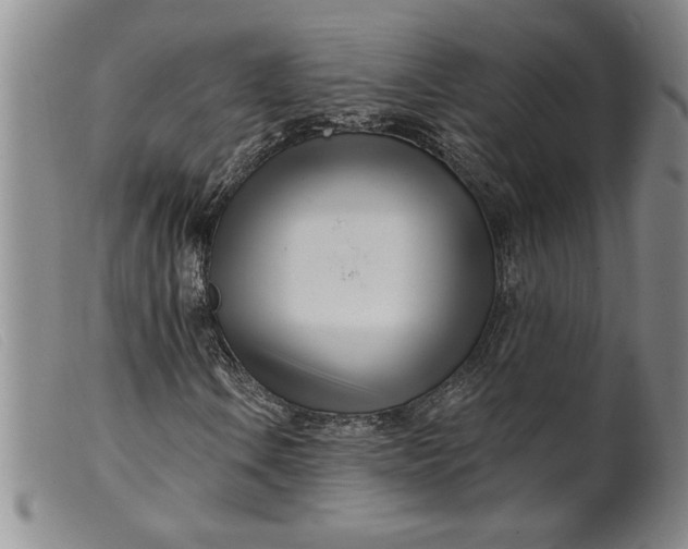 X0000099441106200805231710
