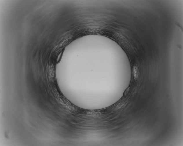 X0000099441107200805231710