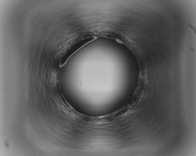 X0000099441108200805231710