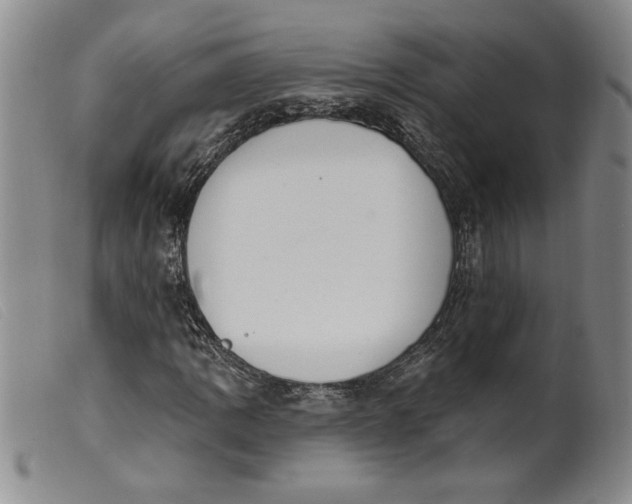 X0000099441109200805231710