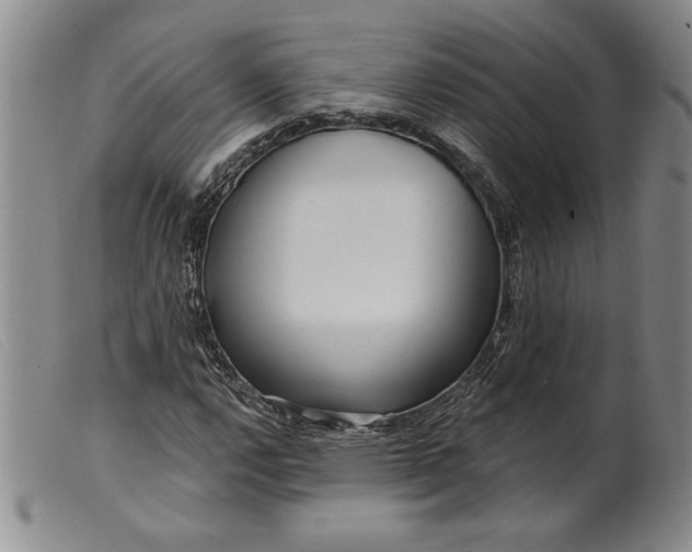X0000099441112200805231710