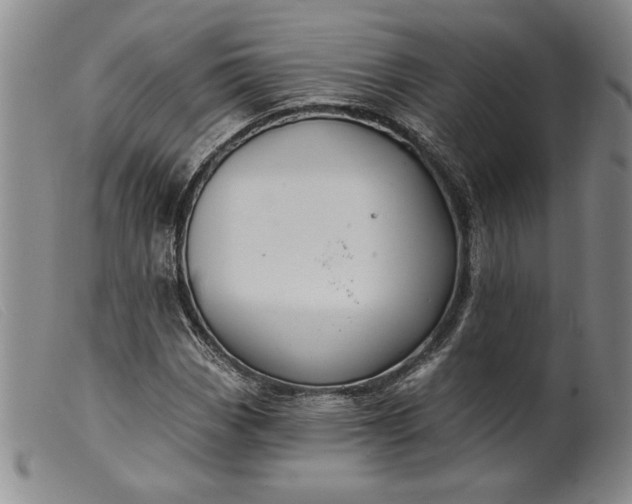 X0000099441113200805231710