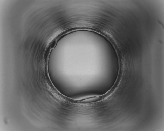 X0000099441114200805231710