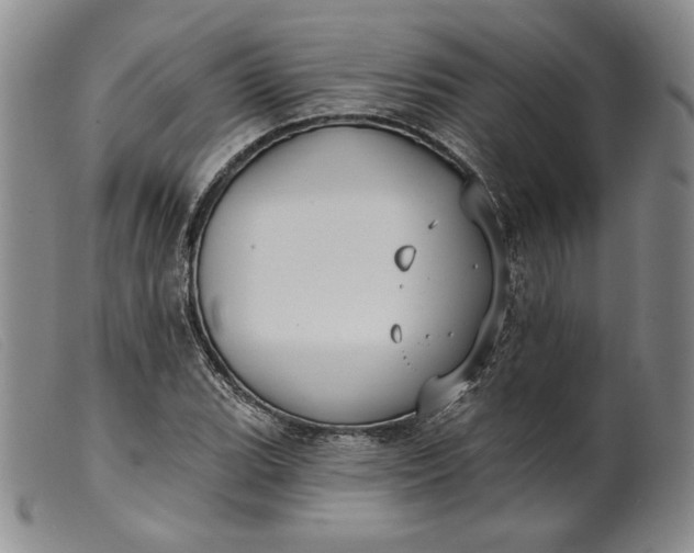 X0000099441119200805231711