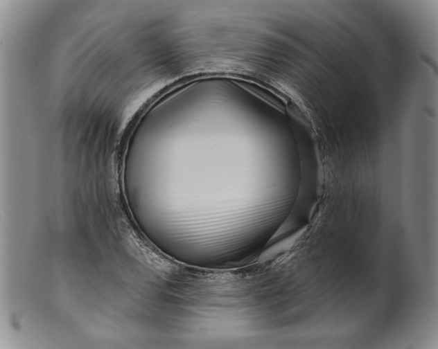 X0000099441120200805231711
