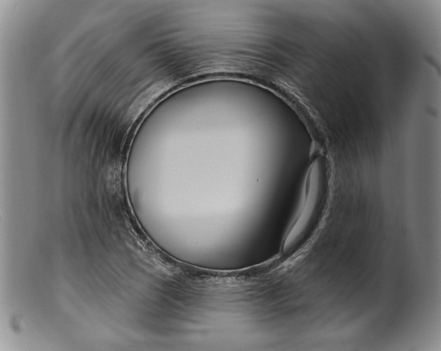 X0000099441121200805231711