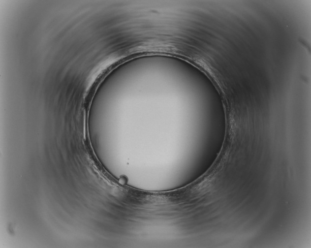 X0000099441123200805231711