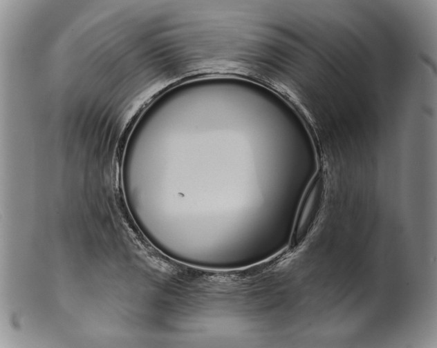 X0000099441125200805231711