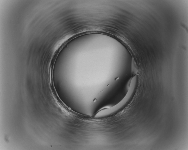 X0000099441127200805231711
