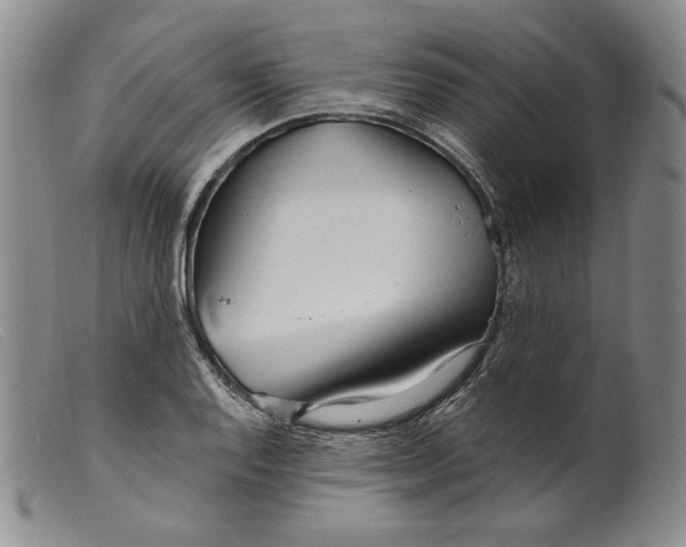 X0000099441128200805231711