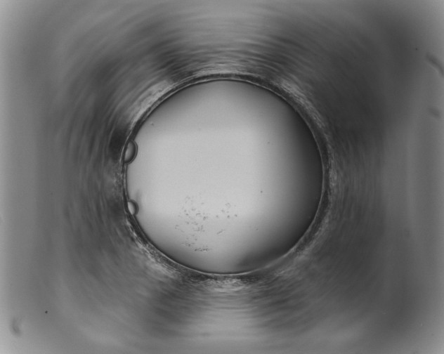 X0000099441129200805231711