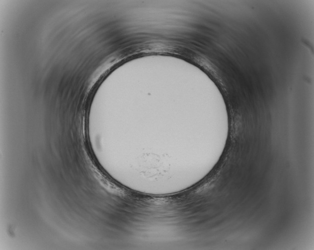 X0000099441130200805231711