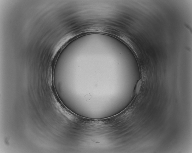 X0000099441131200805231711