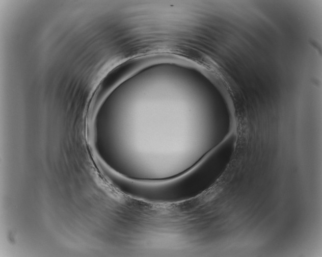 X0000099441132200805231711