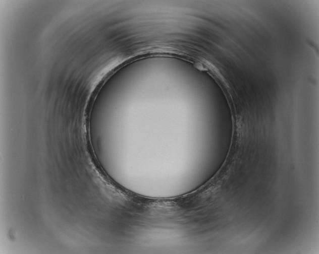 X0000099441133200805231711
