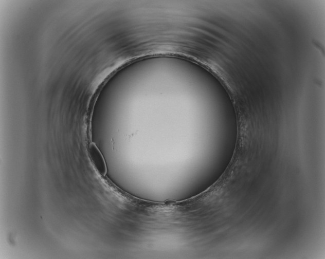 X0000099441134200805231711