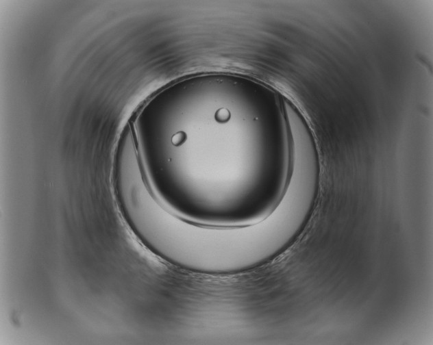 X0000099441136200805231711