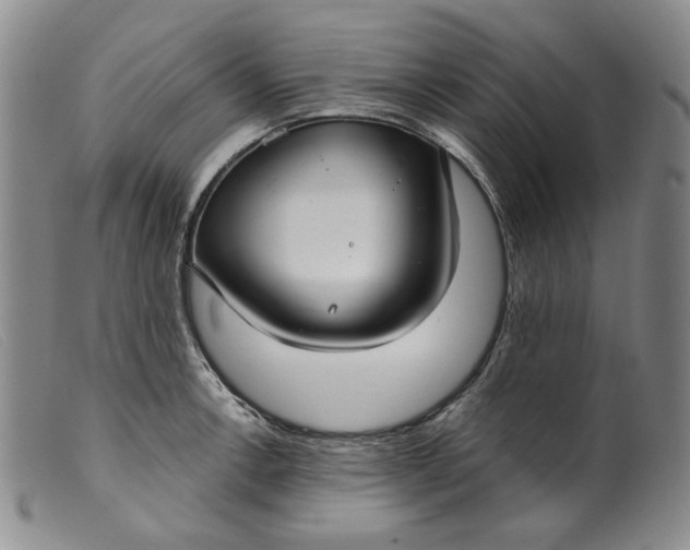 X0000099441138200805231711