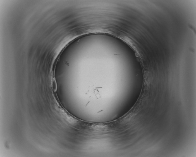 X0000099441140200805231711