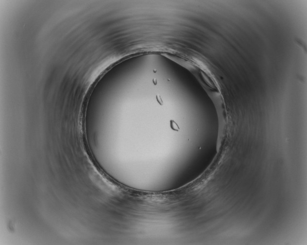X0000099441141200805231711
