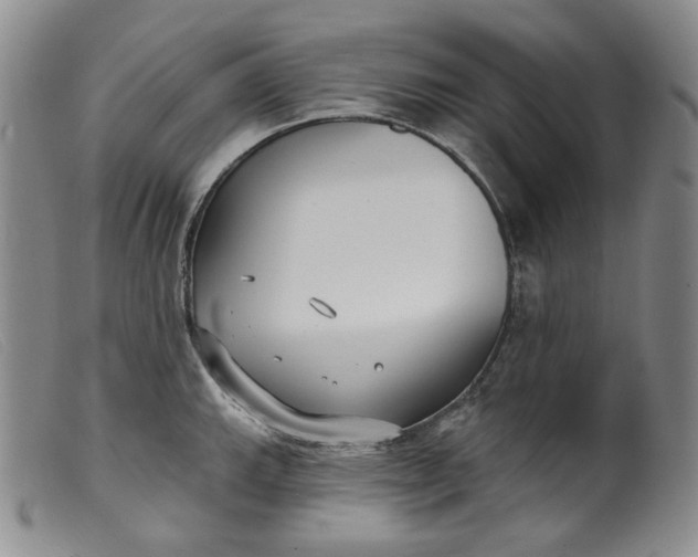 X0000099441143200805231711