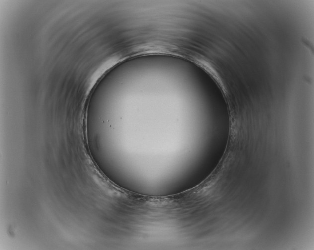 X0000099441146200805231711