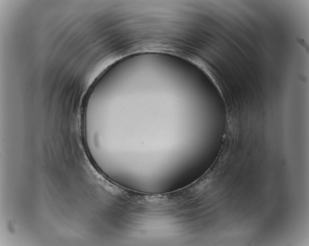 X0000099441147200805231711