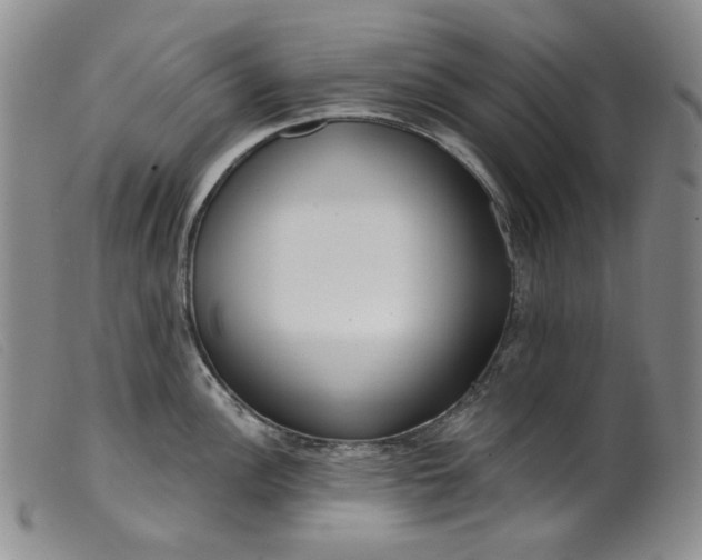 X0000099441148200805231711