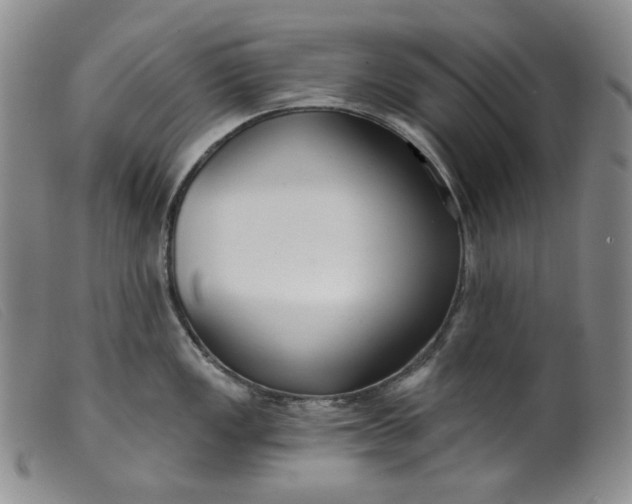 X0000099441149200805231711