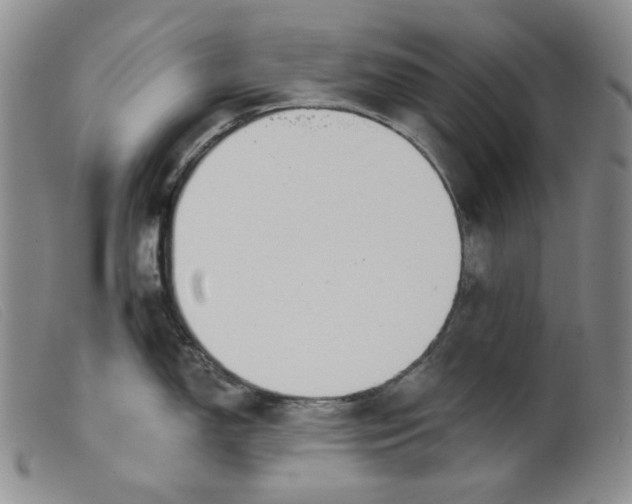 X0000099441150200805231711