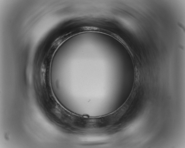 X0000099441151200805231711
