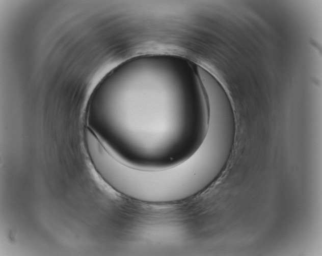 X0000099441152200805231711