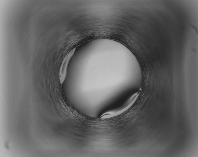 X0000099441153200805231710