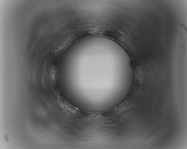 X0000099441154200805231710