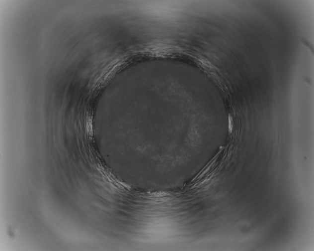 X0000099441155200805231710