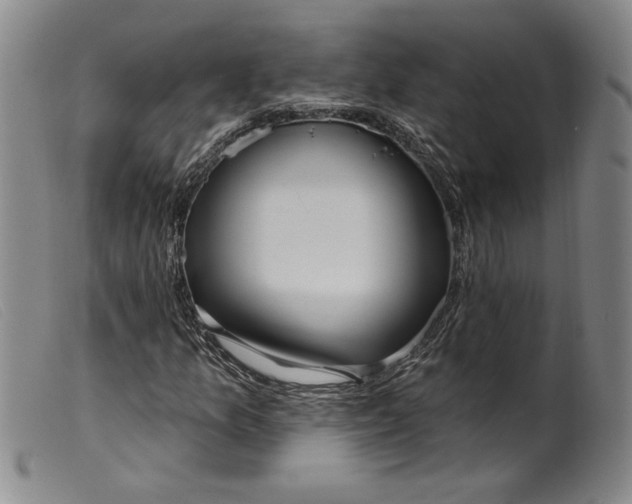 X0000099441157200805231710