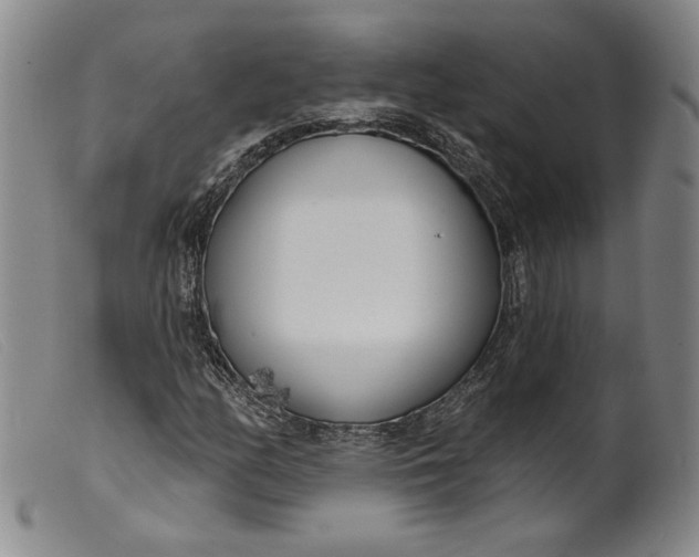 X0000099441158200805231710