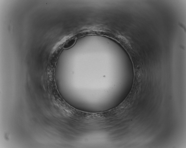 X0000099441159200805231710