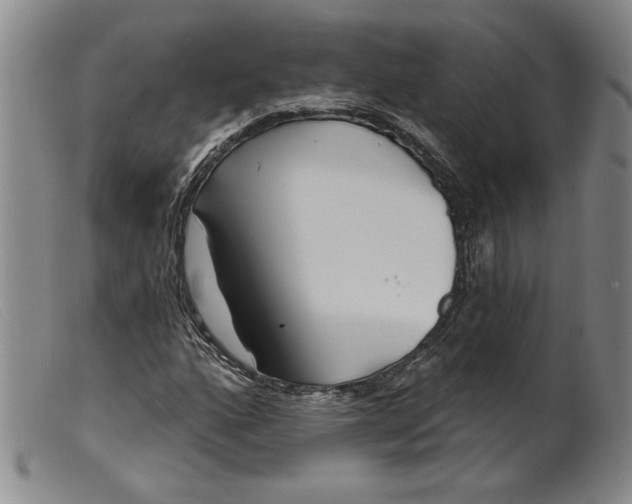 X0000099441160200805231710