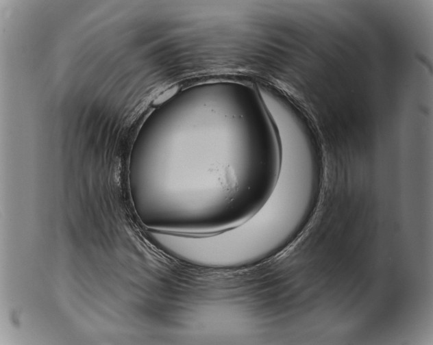 X0000099441161200805231710
