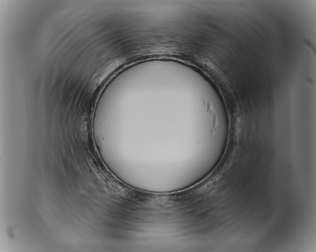 X0000099441162200805231710