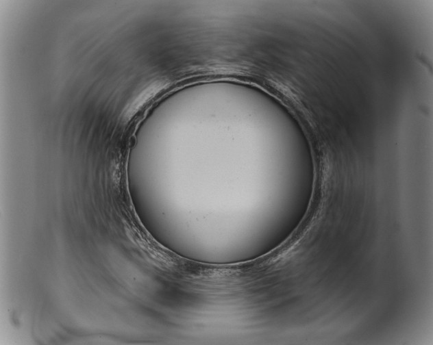 X0000099441163200805231710