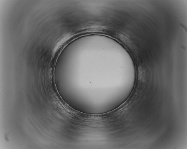 X0000099441164200805231710