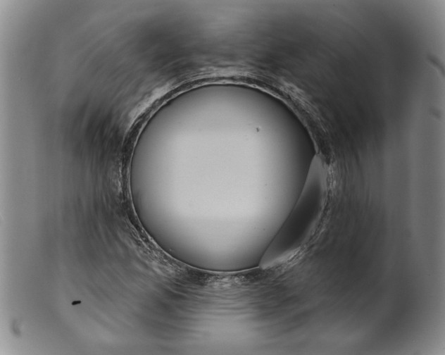 X0000099441165200805231710